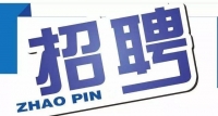 岱岳區(qū)政務服務中心招人啦！大專以上學歷，即日起報名